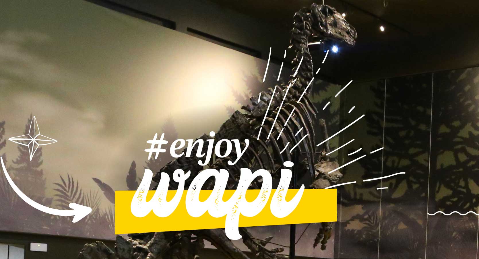 enjoy-Wapi
